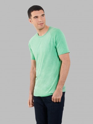 Men's Fruit Of The Loom Short Sleeve EverLight™ Raglan, 2 Pack T Shirts Lucky Green | CVX741056