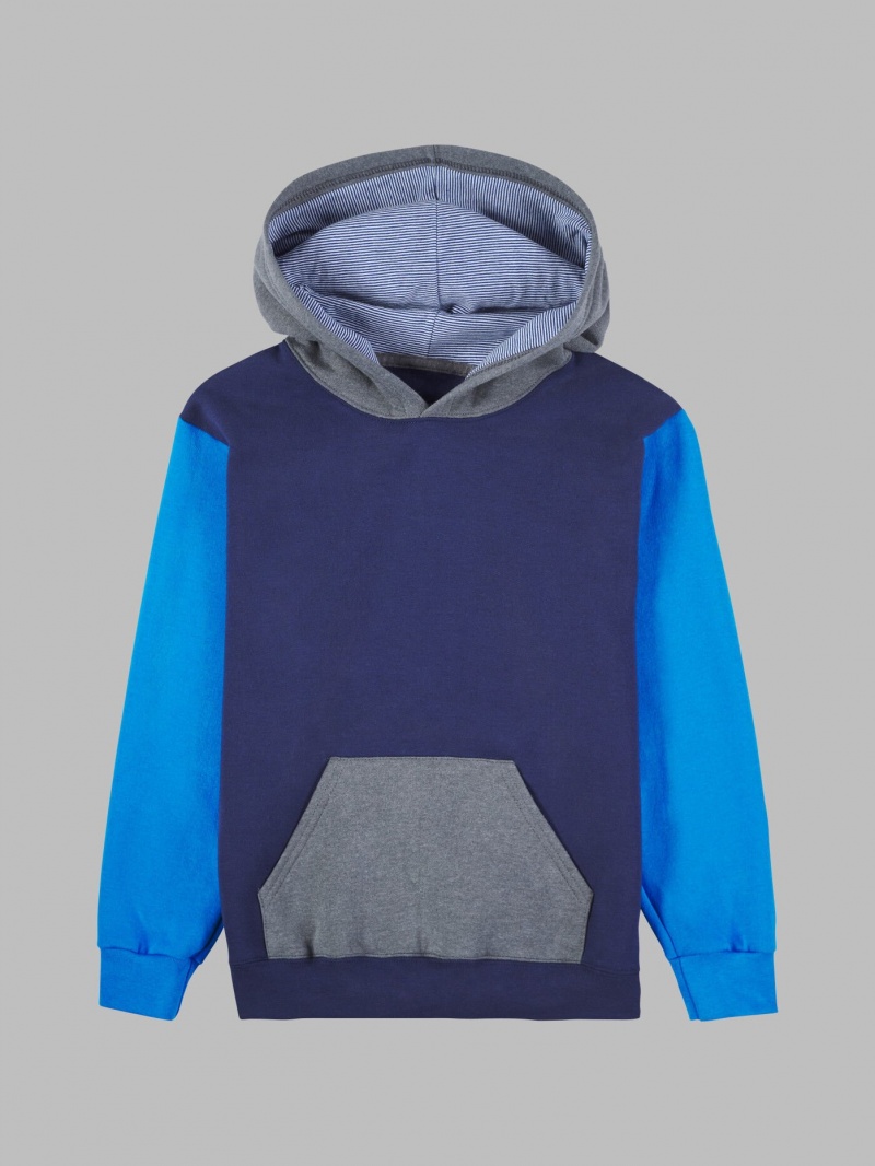 Boys' Fruit Of The Loom Fleece Sweatshirt Blue | JLO043168