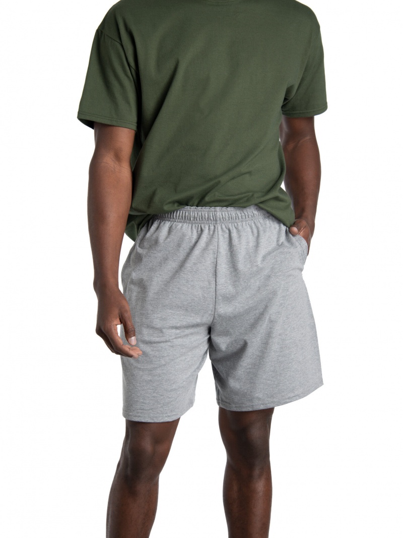 Men's Fruit Of The Loom Eversoft® Jersey Short, 2 Pack Shorts Gray | SPD926378