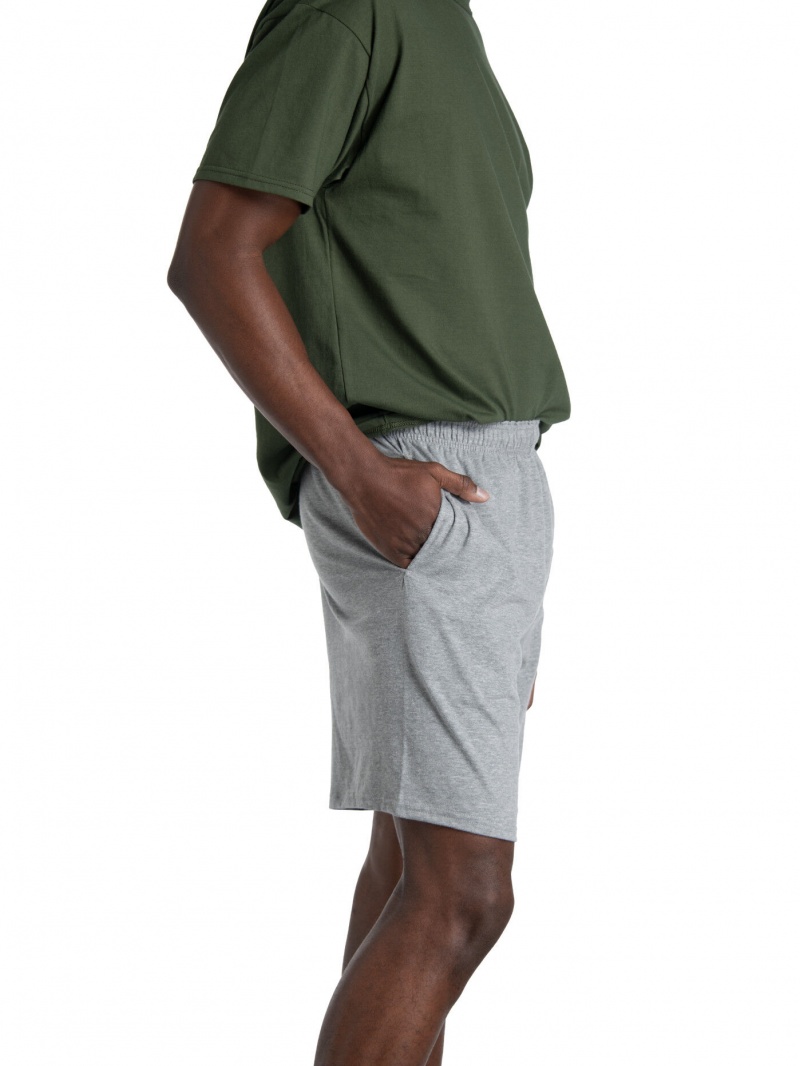 Men's Fruit Of The Loom Eversoft® Jersey Short, Extended Size, 2 Pack Shorts Mnrlgryhtr | EGO578209