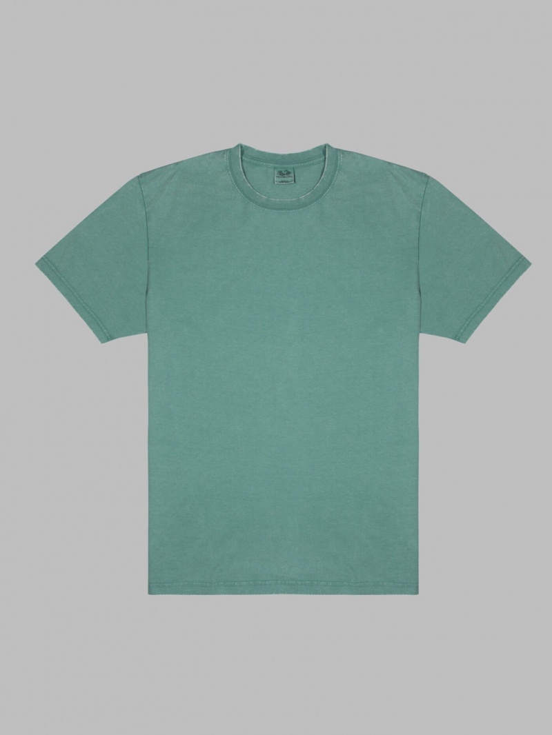 Men's Fruit Of The Loom Garment Dyed Crew T Shirts Envy | GPM695124