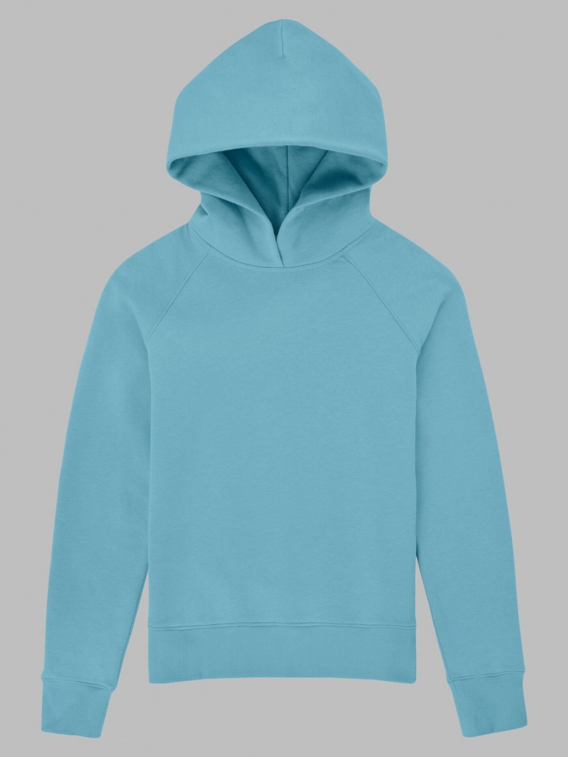 Women's Fruit Of The Loom Crafted Comfort Favorite Fleece Sweatshirt Neptune Blue | XBC972086